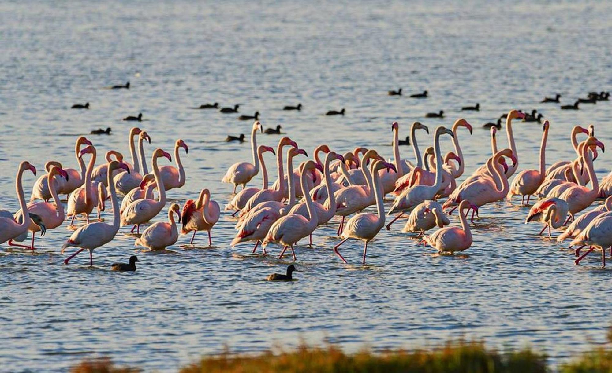 Llevant - Adosado En L'Ampolla Con Acceso Directo Al Mar - Deltavacaciones Екстер'єр фото